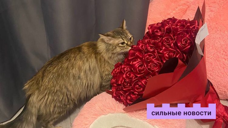«Меня все равно не услышат»: почему гомельские подростки отдаляются от родителей – откровенно от самих детей