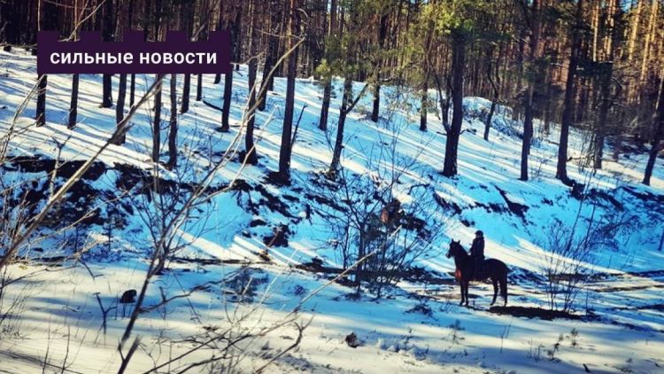 Куды адправіцца за новымі ўражаннямі ў час зімовых канікул? Пяць ідэй ад «Моцных Навін» для незабыўнага адпачынку ў межах вобласці