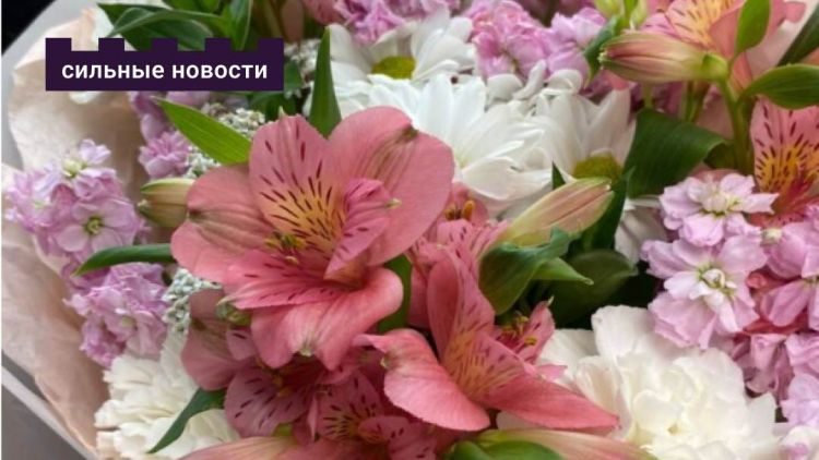 «Я не выгребаю из душевого слива клоки волос». Спросили у убежденных холостяков, почему они не женятся