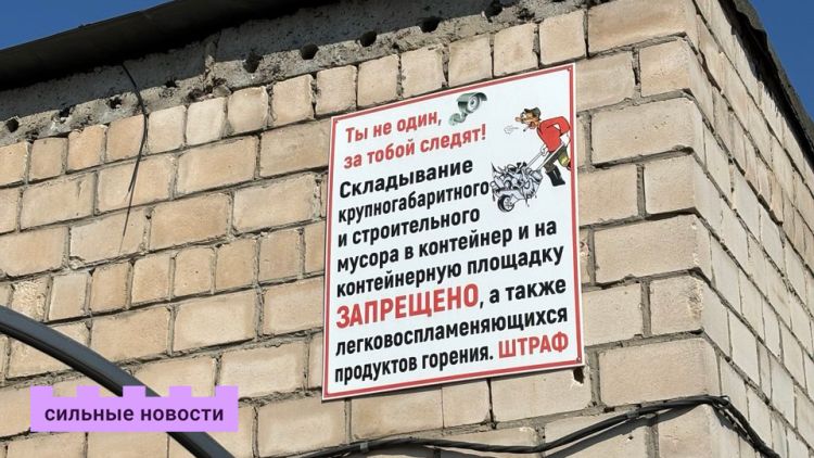 «Я люблю фэнтези и боюсь 40-летнюю тетю из ЖЭУ – но прикол в том, что 40-летняя тетя теперь я сама». Почему миллениалы так и «не повзрослели», и что с этим делать