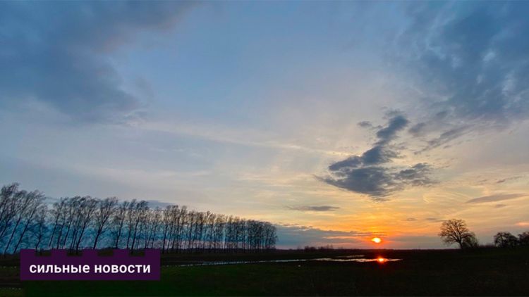 Почему трудно уйти и как себе помочь: большой разговор с психологом ко Дню борьбы за ликвидацию насилия в отношении женщин