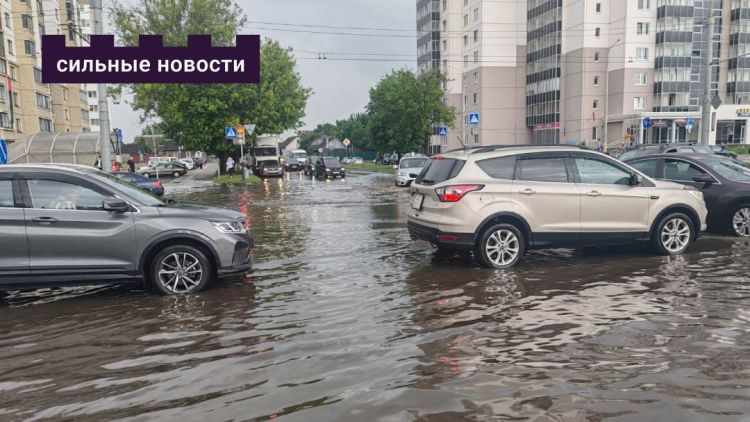 Каким сервисам верить, чтобы не попасть под дождь в Гомеле