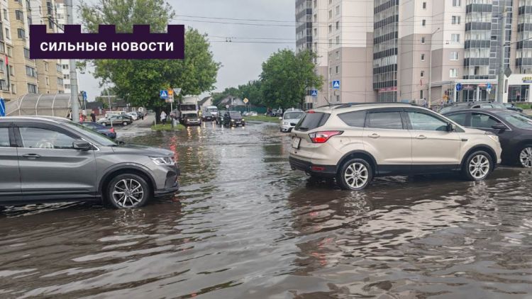 Каким сервисам верить, чтобы не попасть под дождь в Гомеле