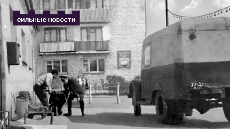 С Днем рождения, вытрезвитель! История «приютов для опьяневших» от Хельсинки до Гомеля