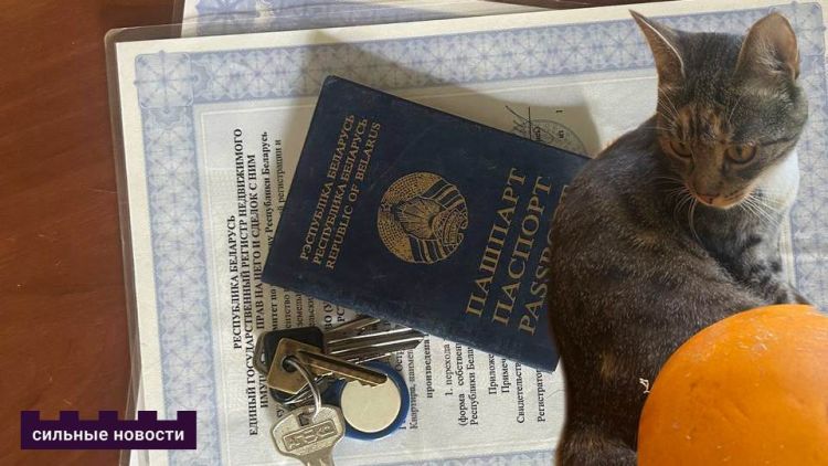 «Наконец-то нашлось место и для домашнего питомца». Молодая семья из Гомеля рассказала, как решилась на квартиру в кредит