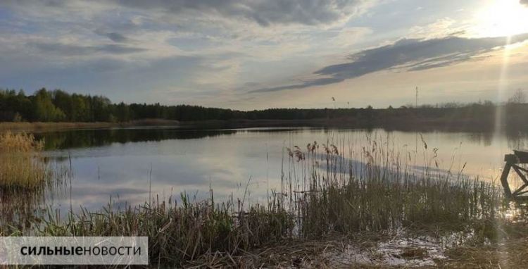 В Гомельском районе из озера, которое сдали в аренду, стала уходить вода. Жители встревожились. Узнали, что случилось