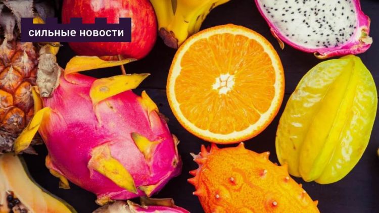 Тропики на пороге: какие экзотические растения хорошо растут в Гомеле и сколько лет осталось до белорусского апельсина?