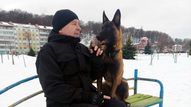 Положите в карман свисток. Спросили у кинолога, что делать, если на пути оказалась собачья стая