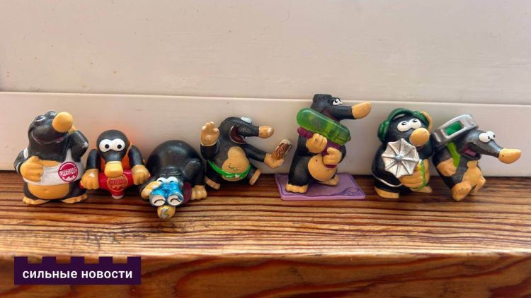 Гомельчанка уже 14 лет собирает игрушки из Kinder-сюрпризов. Сейчас в ее коллекцию входит более 1500 фигурок