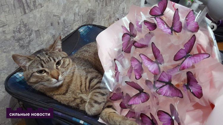 «Не переносит длинноволосых парней в широченных джинсах, которыми они подметают городские улицы». Спросили у гомельской молодежи, что их привлекает друг в друге