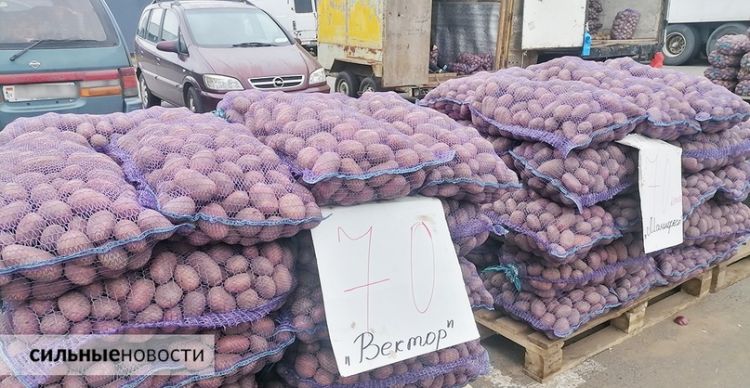 В Беларуси подешевела картошка. Разбираемся, что происходит с ценами на сельхозпродукцию и ждать ли подорожания