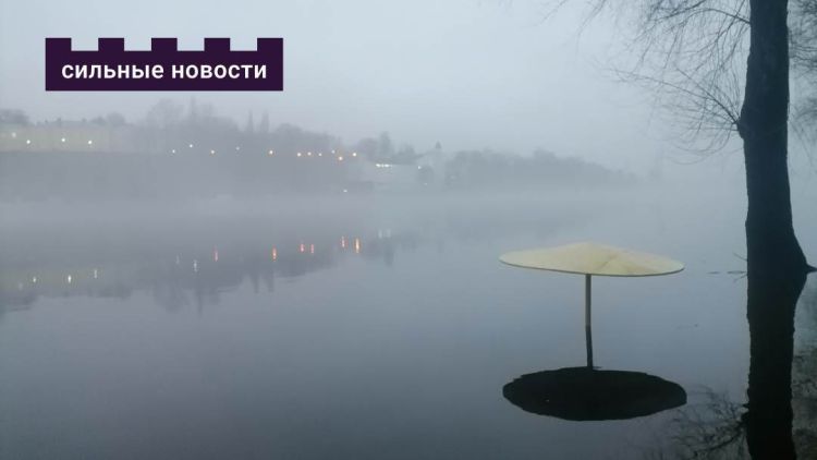 Вместо санок – сапоги: почему Гомель теряет зиму и что с этим делать?