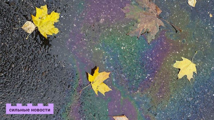 Як не захварэць у сезон прастуд? Сабралі правераныя парады ад тых, хто рэдка і лёгка пераносіць хваробы ўвосень і ўзімку