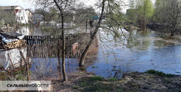 Тайна большой воды. Откуда берутся половодья, можно ли их предугадать и почему Гомель затапливает раз в десять лет?