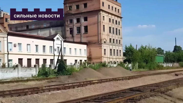 От царских сортов до крафтовых экспериментов. Рассказываем, как появились, что производили и почему погибли гомельские пивзаводы