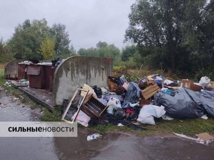 Гомельчане постоянно жалуются на проблемы с вывозом мусора. Мы решили «копнуть поглубже» эту тему. Что вышло – читайте в статье