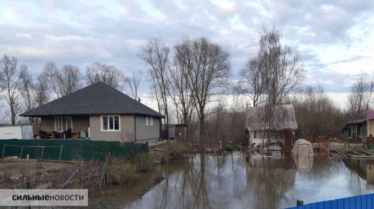 В Плесах срочно укрепляют дамбу. Вода подступила к верхней границе насыпи