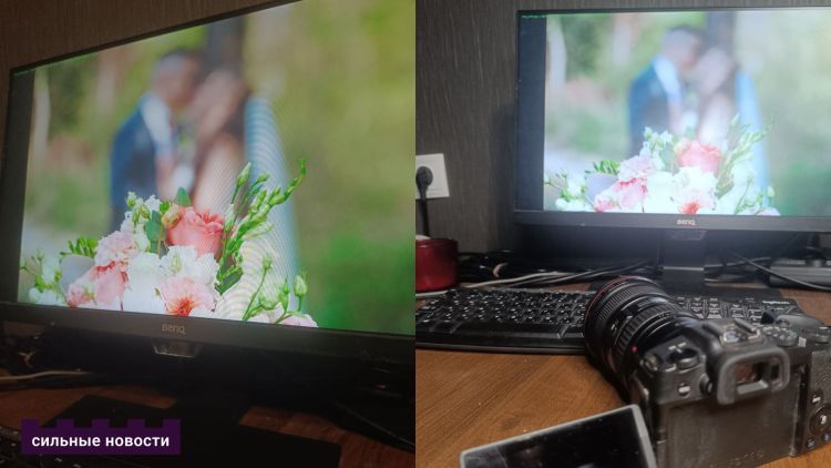 «Фотографировать старшеклассников проще, но с малышами работать мне нравится больше». Гомельский фотограф рассказал о сложностях своей работы в школах и садиках