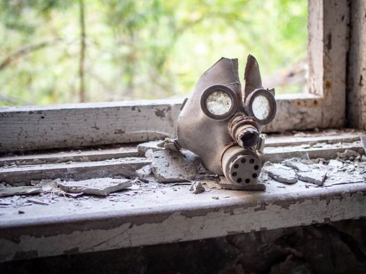 Вспоминаем Чернобыльскую катастрофу. А еще напоминаем вам, где в Гомеле можно проверить на радиацию дары природы