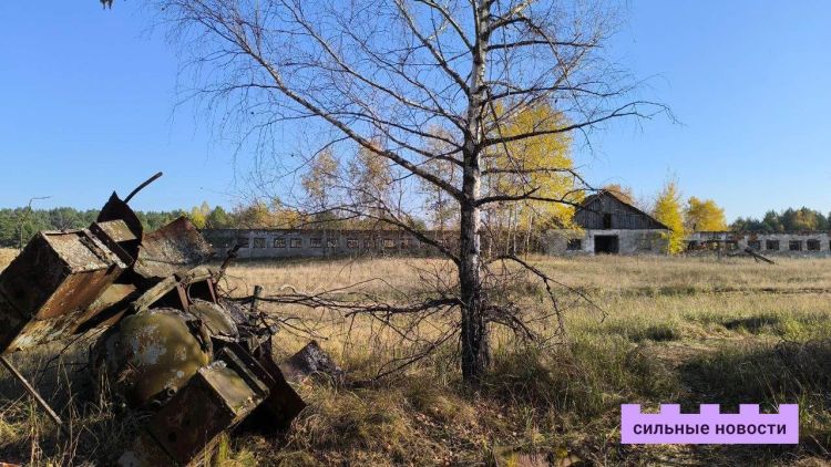 Пенсия на 10 лет раньше и пособие в 150%: «Сильные Новости» посмотрели, какие льготы остались у чернобыльцев