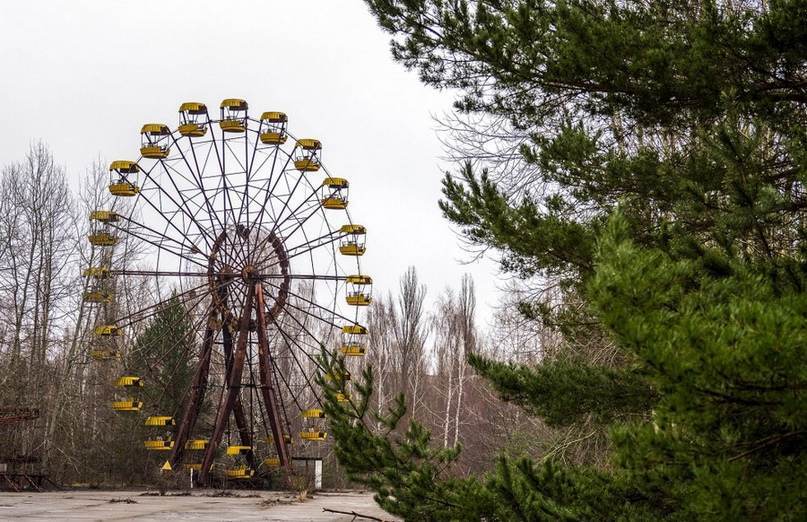 Вспоминаем Чернобыльскую катастрофу. А еще напоминаем вам, где в Гомеле можно проверить на радиацию дары природы, изображение №3