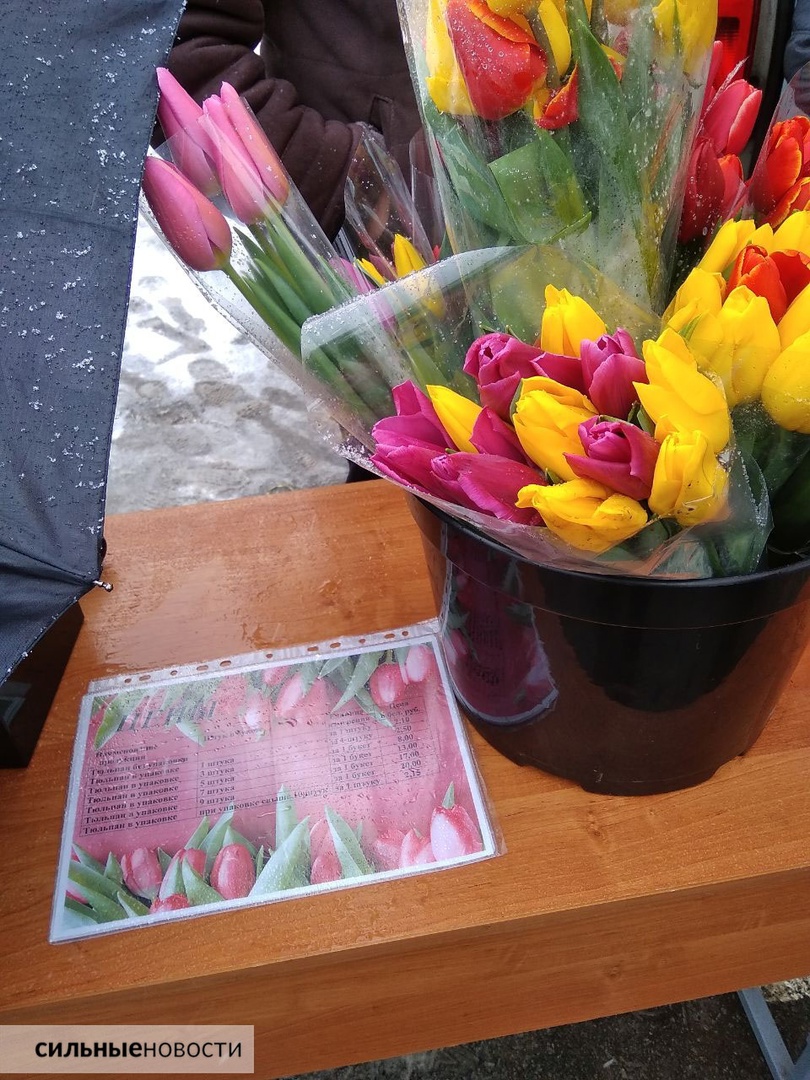 В канун 8 Марта «Сильные Новости» разбирались, где купить тюльпаны оптом, сколько они стоят в розницу и почему не стоит доверять сверхдешевым предложениям, изображение №2