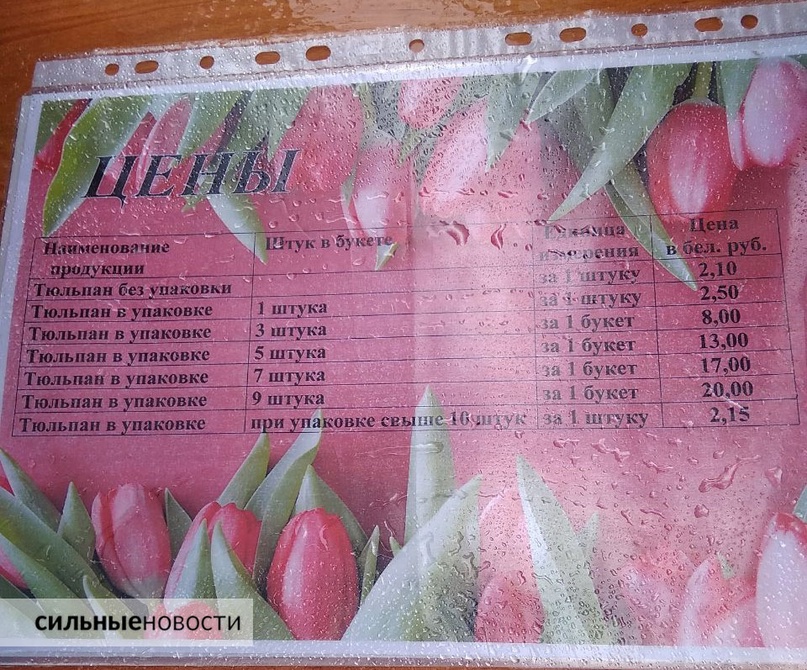 В канун 8 Марта «Сильные Новости» разбирались, где купить тюльпаны оптом, сколько они стоят в розницу и почему не стоит доверять сверхдешевым предложениям, изображение №5