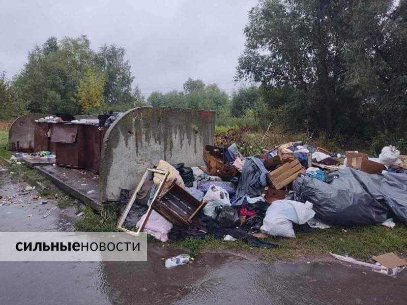 Гомельчане постоянно жалуются на проблемы с вывозом мусора. Мы решили «копнуть поглубже» эту тему. Что вышло – читайте в статье, изображение №1