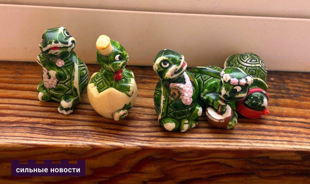 история гомельчанки