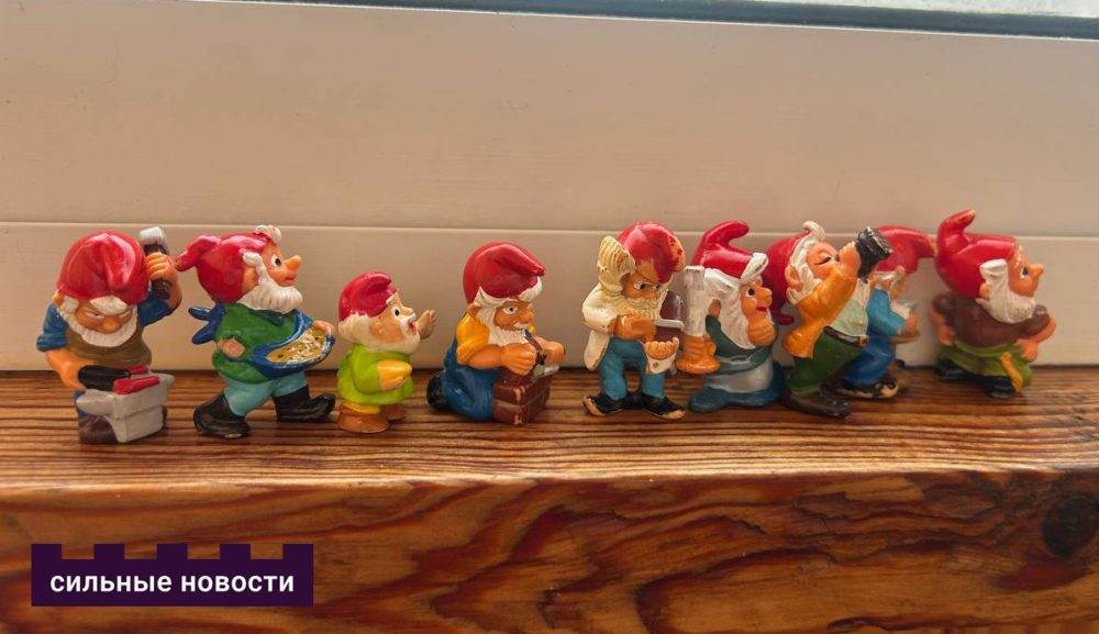 история гомельчанки